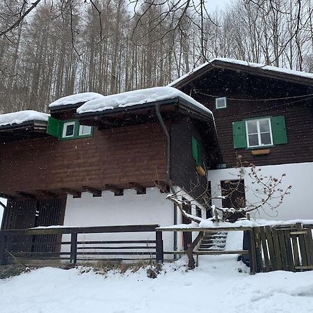 Kleine Alpenhuette In Lend 2024 Neben Der Salzach 빌라 외부 사진