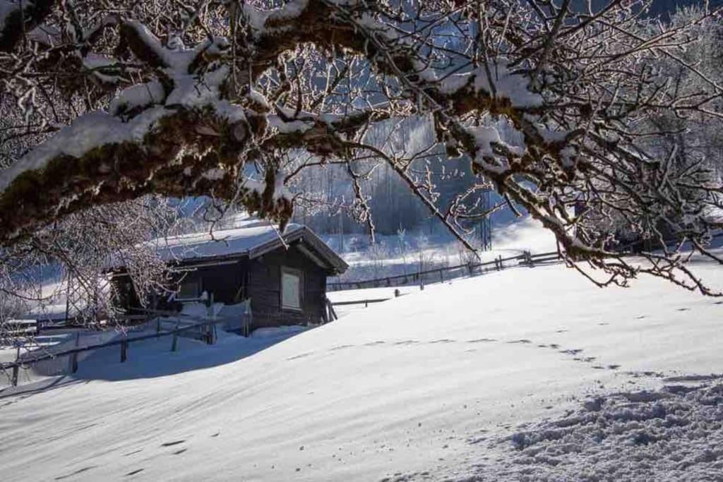 Kleine Alpenhuette In Lend 2024 Neben Der Salzach 빌라 외부 사진