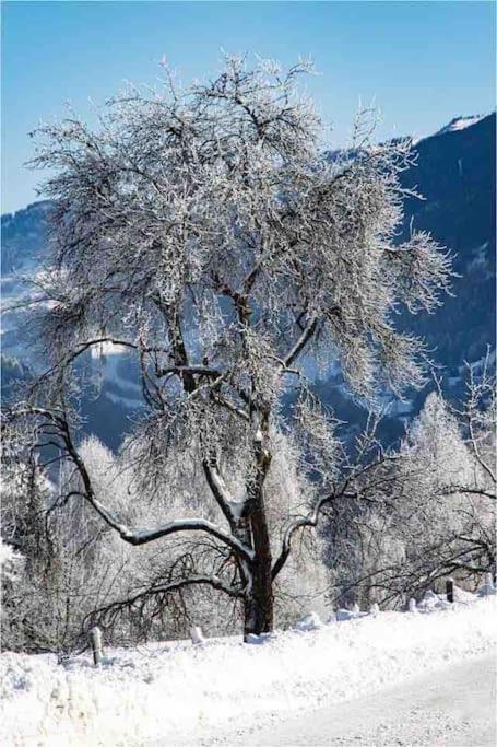 Kleine Alpenhuette In Lend 2024 Neben Der Salzach 빌라 외부 사진
